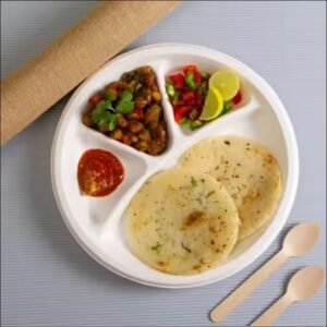 12" Biodegradable Bagasse 4cp Plate