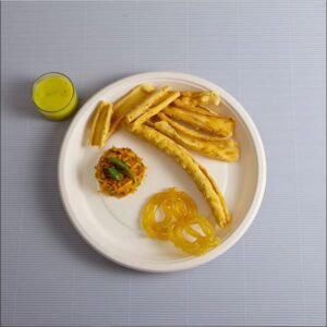 10" Biodegradable Bagasse Plate