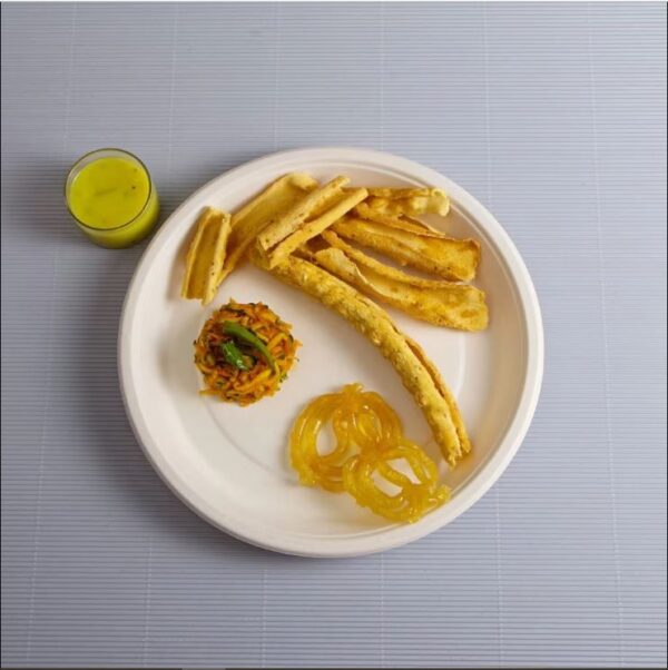 10" Biodegradable Bagasse Plate