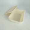500ML Biodegradable Cornstarch Container