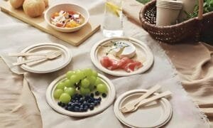 Bagasse tableware img01