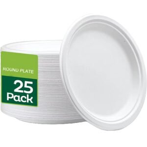 12" Biodegradable Bagasse Plate