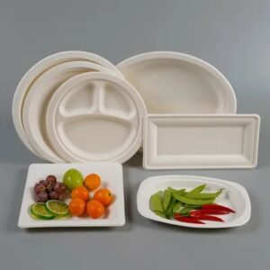 9x6 Clamshell Burger Box Bagasse